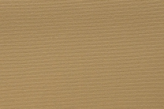 BEIGE-2038-12m-72-SAUL-600x900