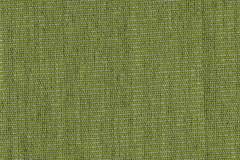 Lona-Masacril-GREEN©-CACTUS-1537-12m-72-SAUL600x900